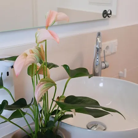 Ferienapartments Im Stern Friedersdorf Apartamento *